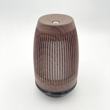DIFFUSER Haiku